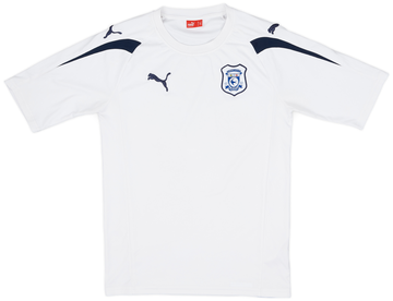 Cardiff City 2010-11 Training
