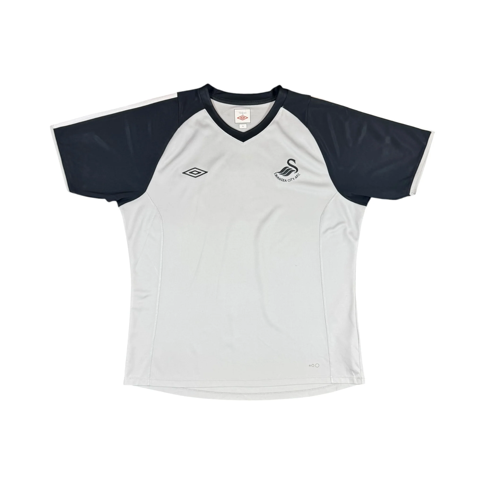 Swansea 2010-11 Training