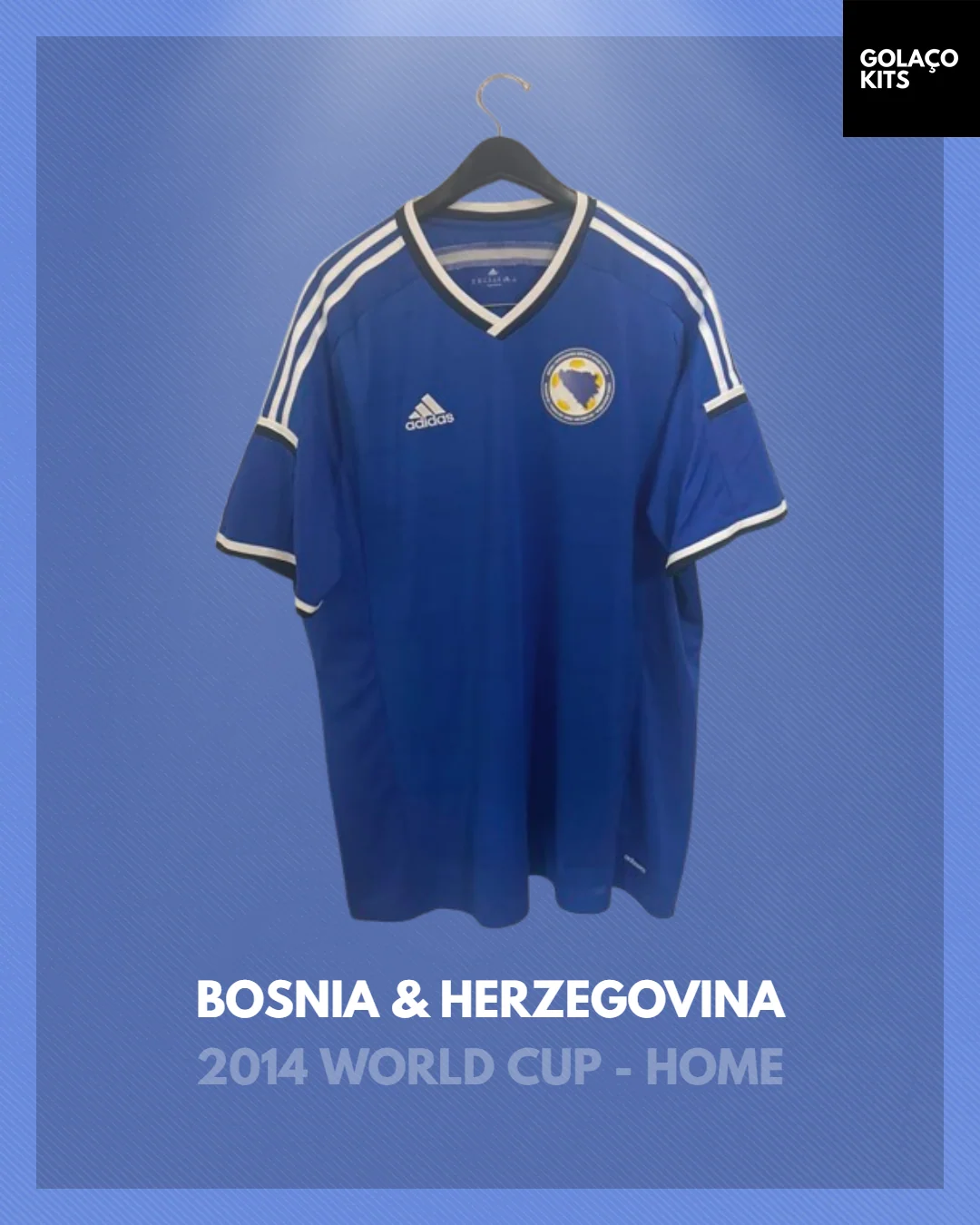 Bosnia and Herzegovina 2014 Home