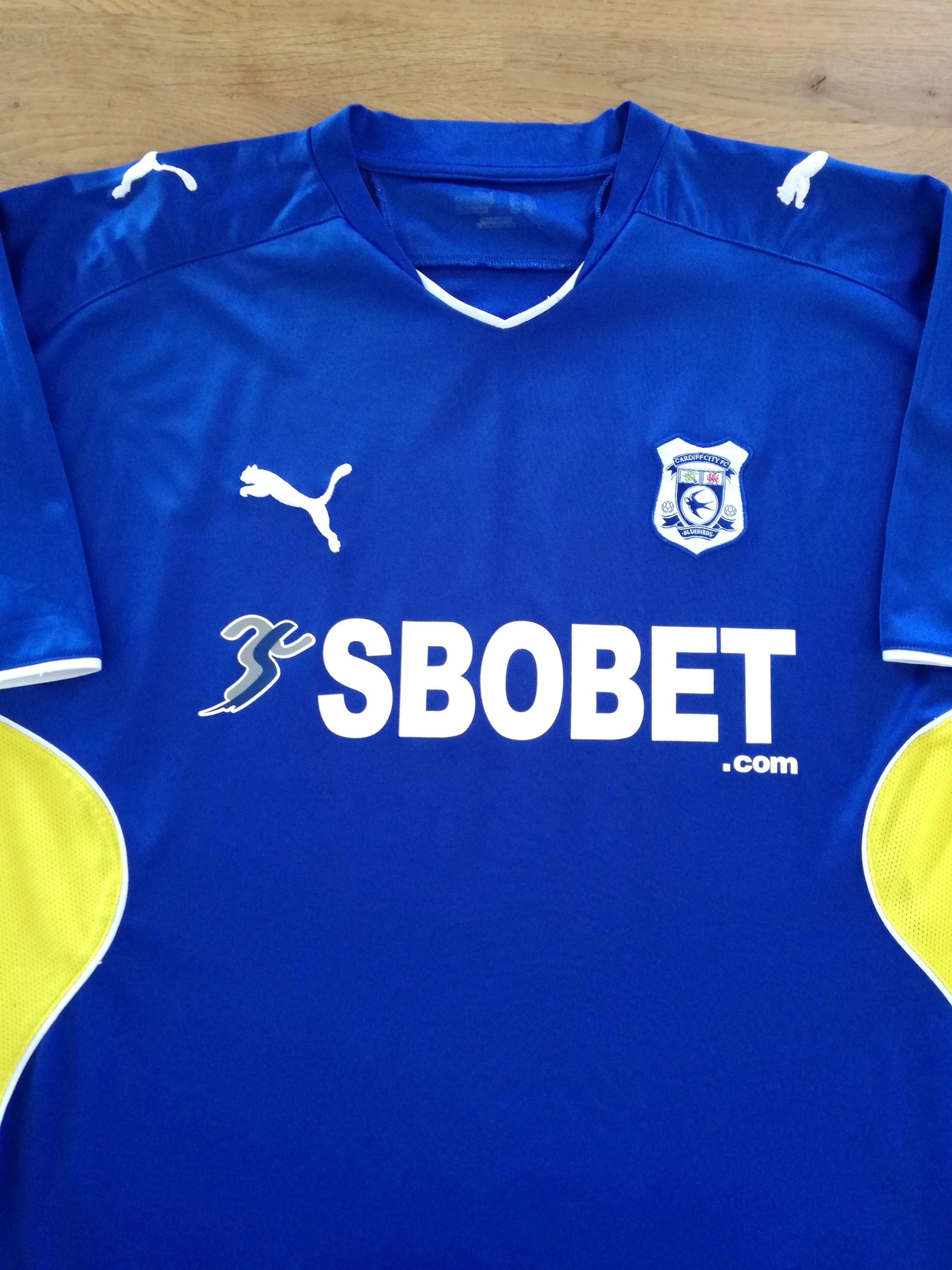 Cardiff City 2009-10 Home