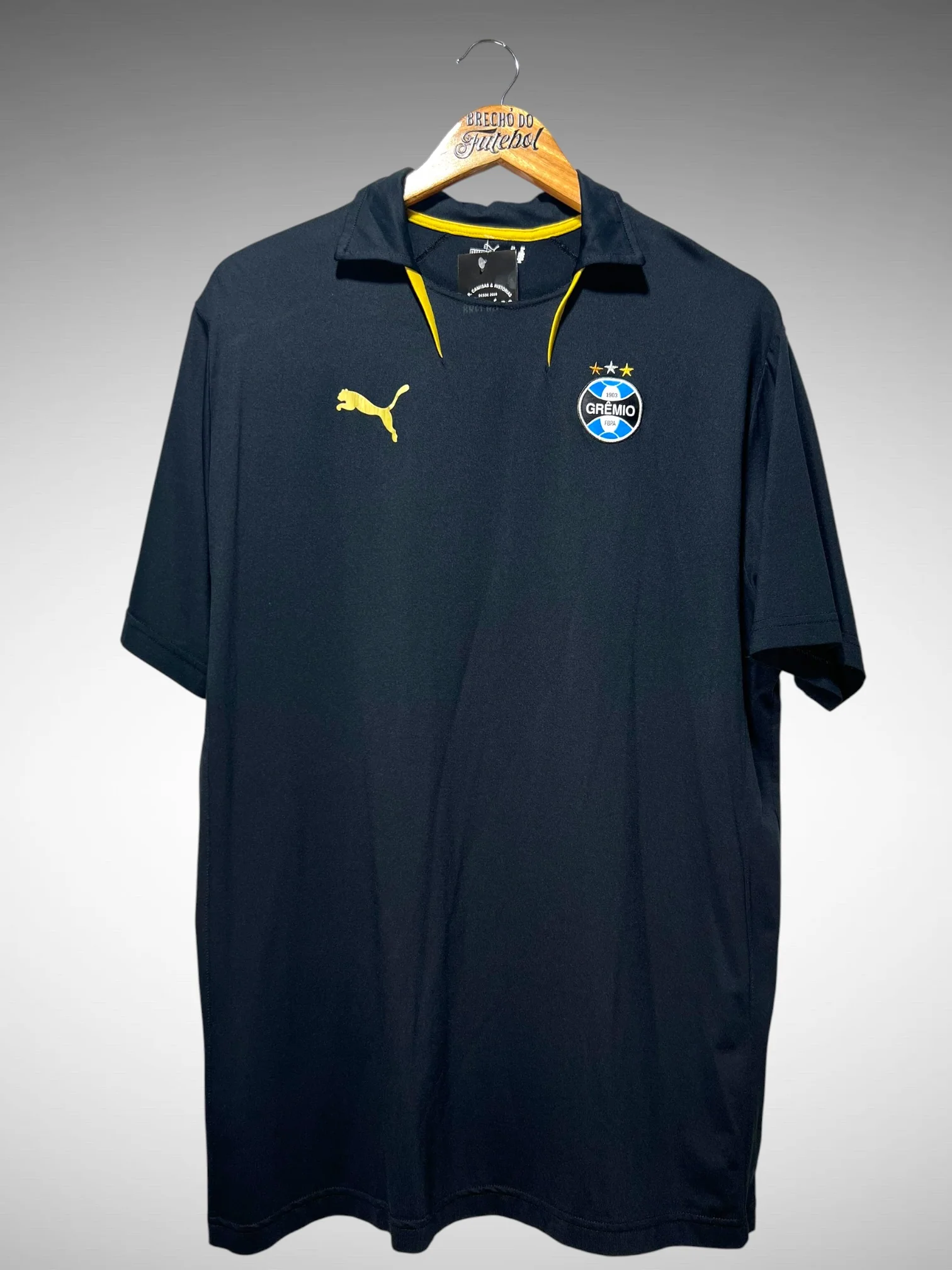 Gremio 2007 Training