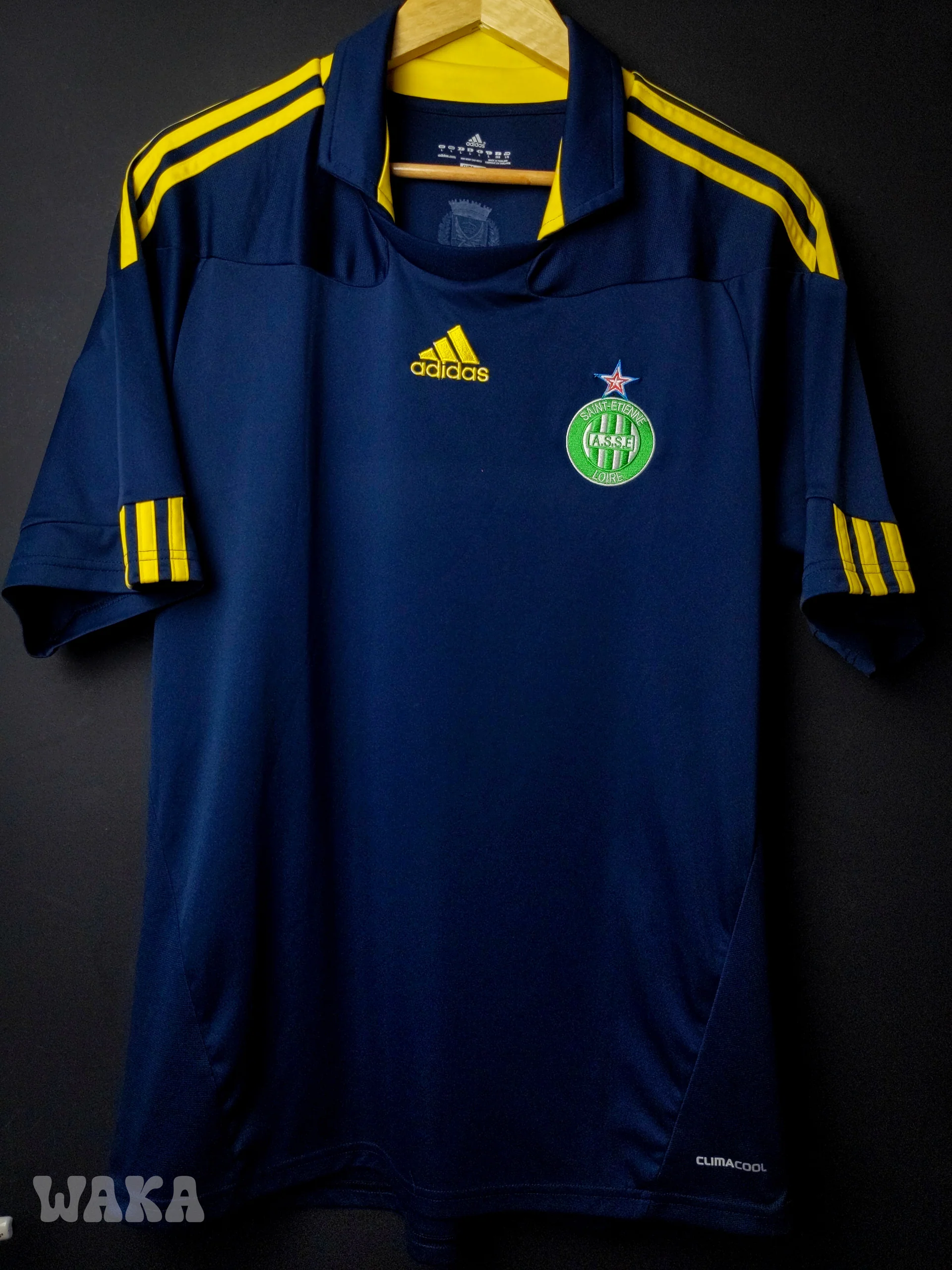 Saint-Etienne 2010-11 Third