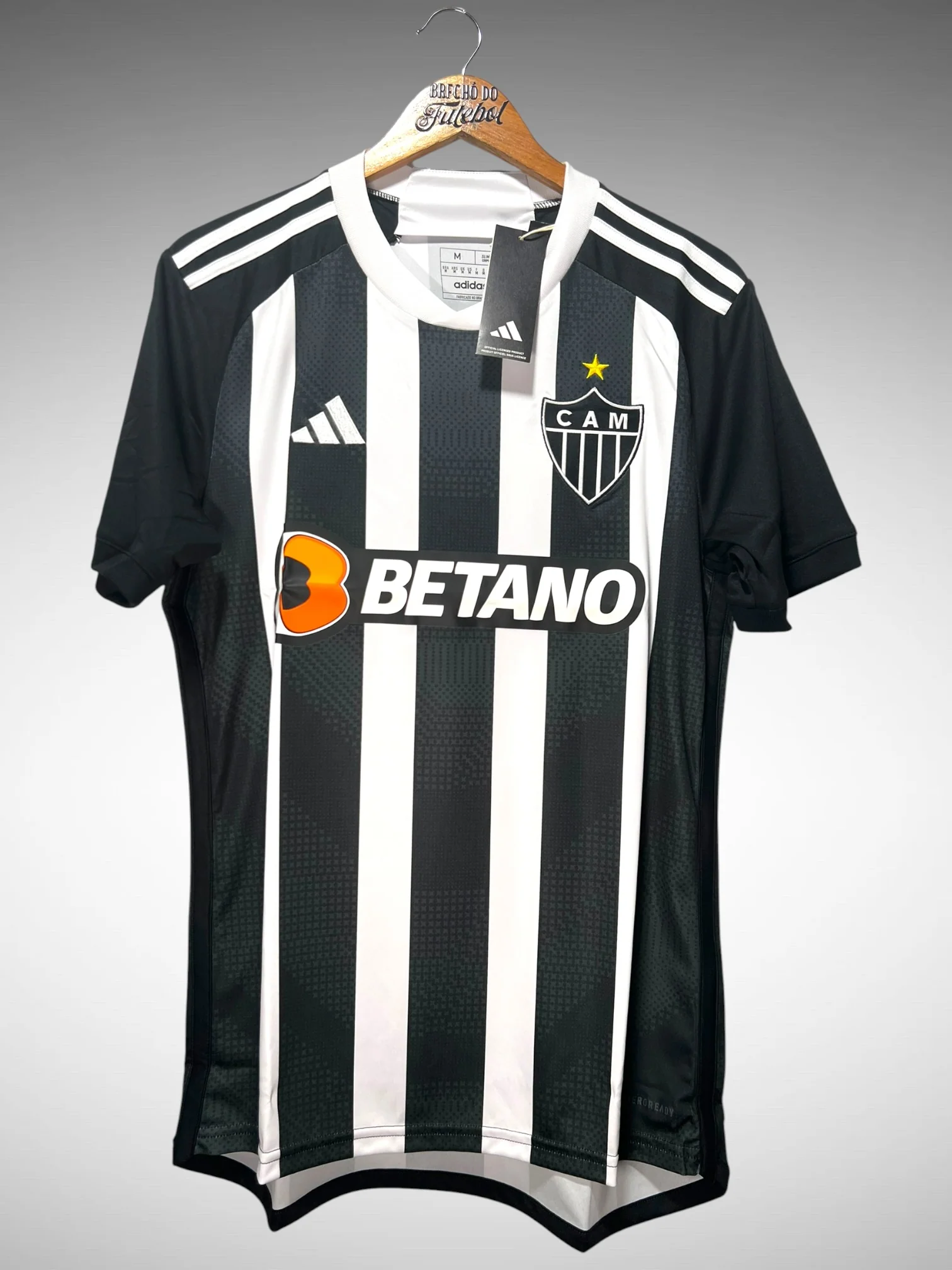 Atletico Mineiro 2024 Home