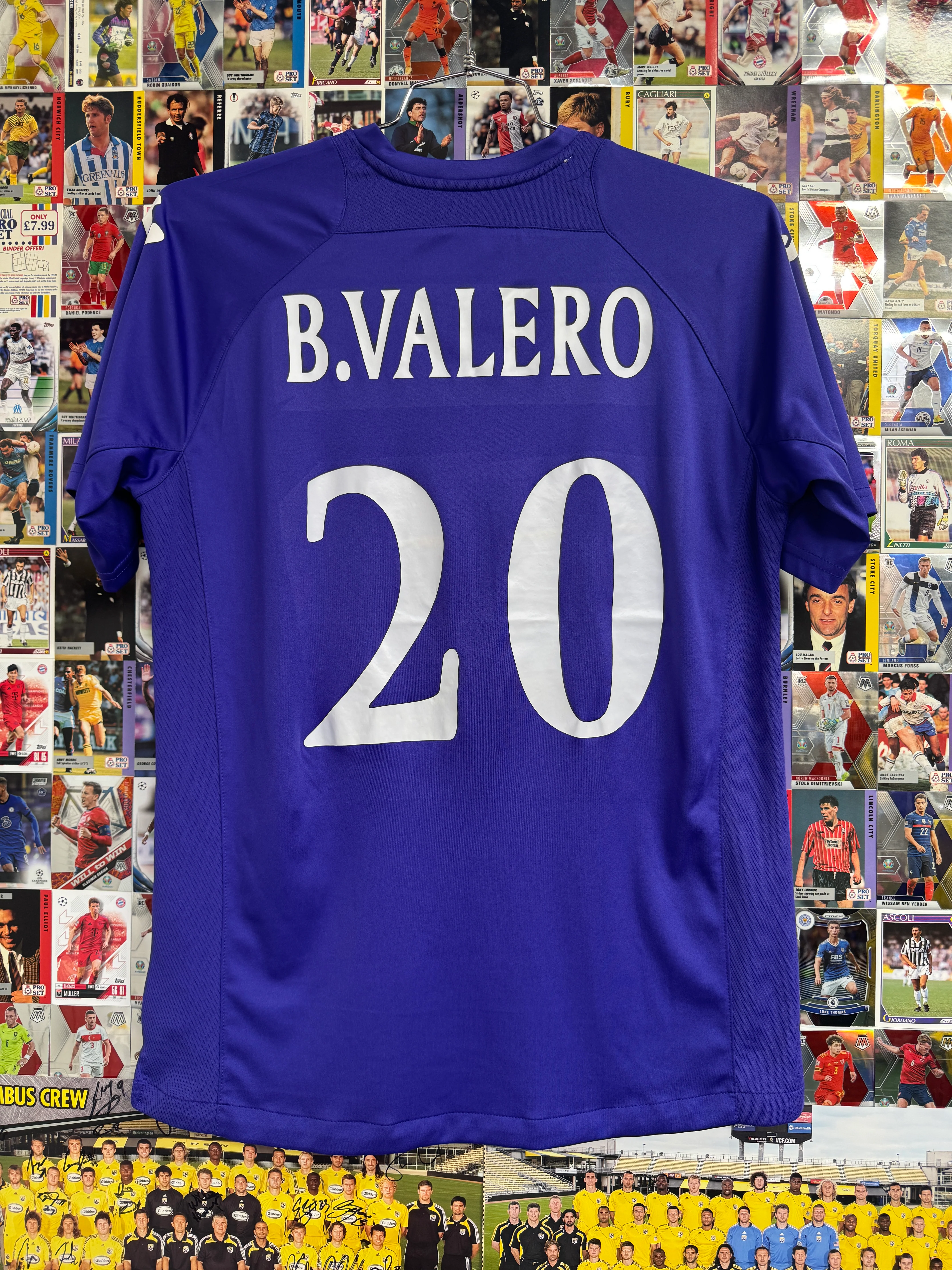 Fiorentina 2013-14 Training