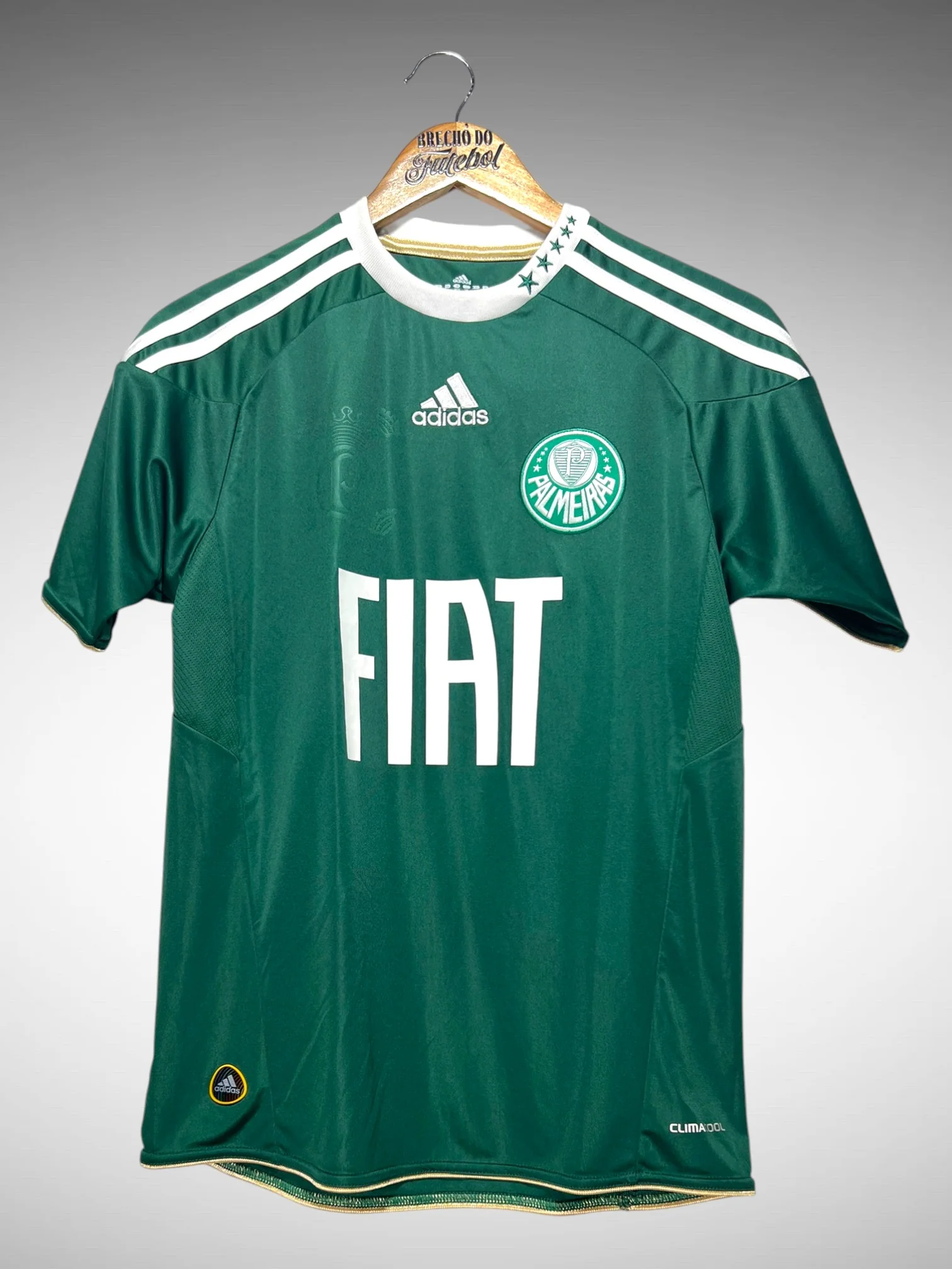 Palmeiras 2010 Home