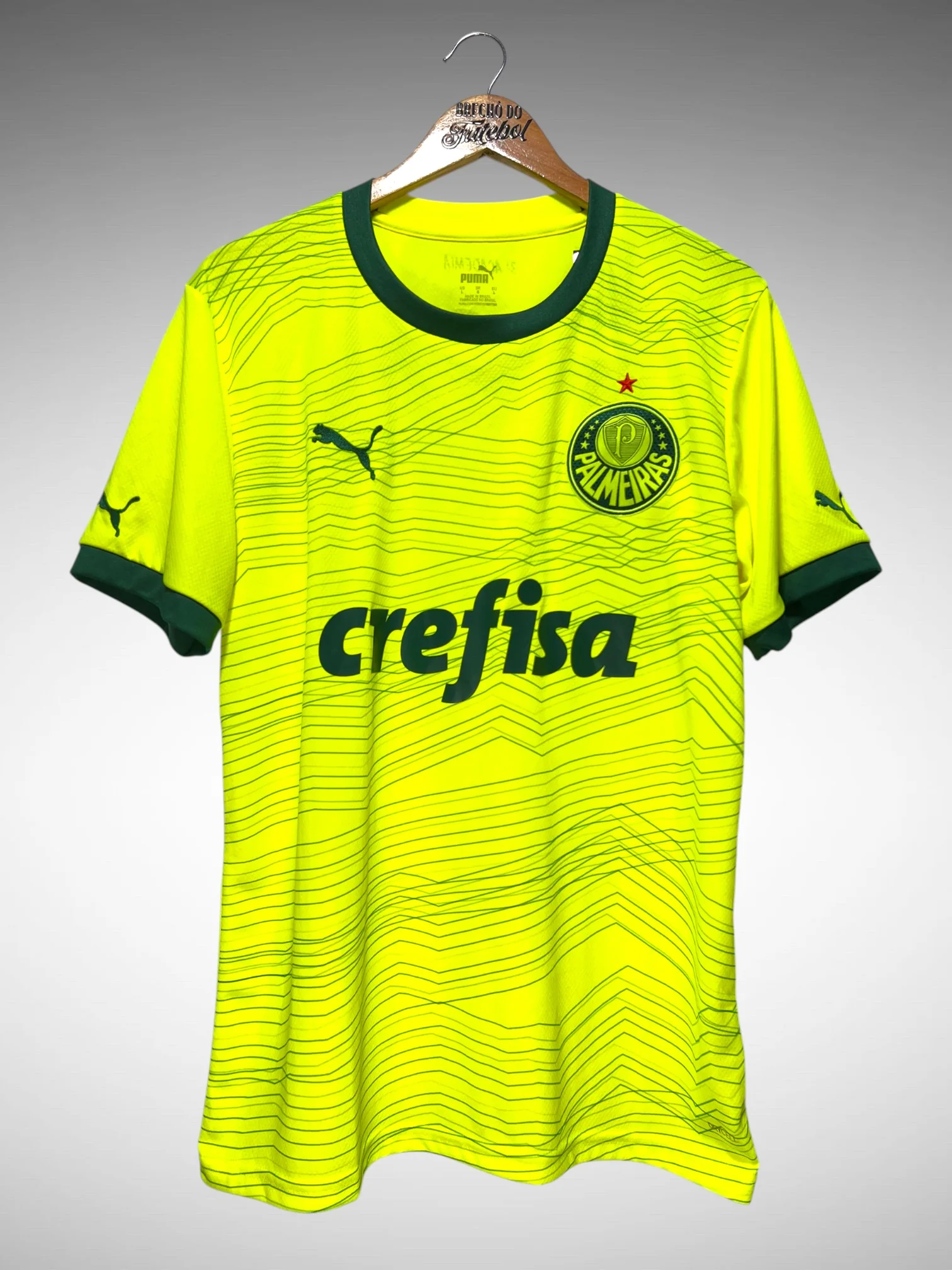 Palmeiras 2023 Third