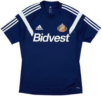 Sunderland 2014-15 Training