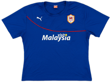 Cardiff City 2013-14 Away