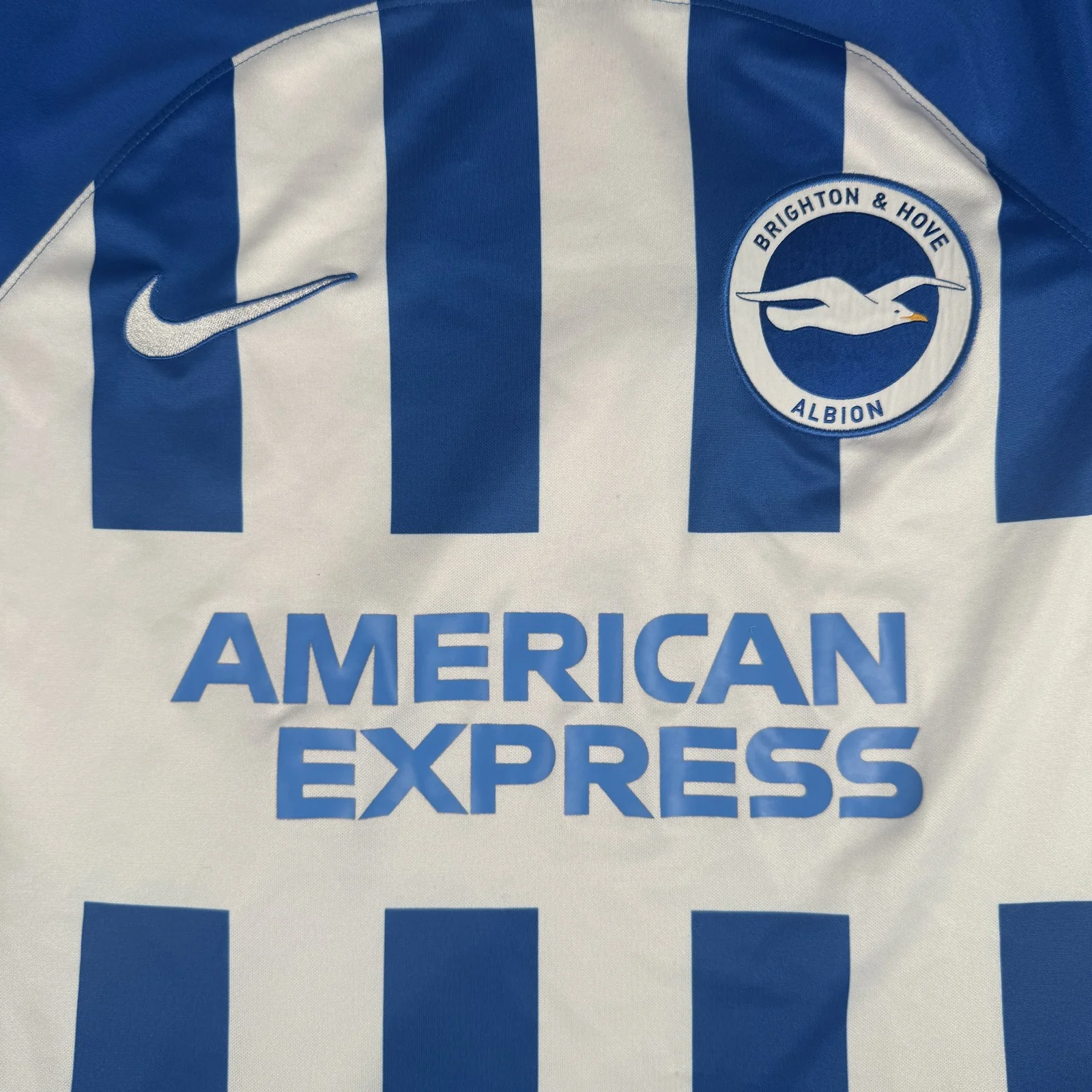 Brighton and Hove Albion 2023-24 Home