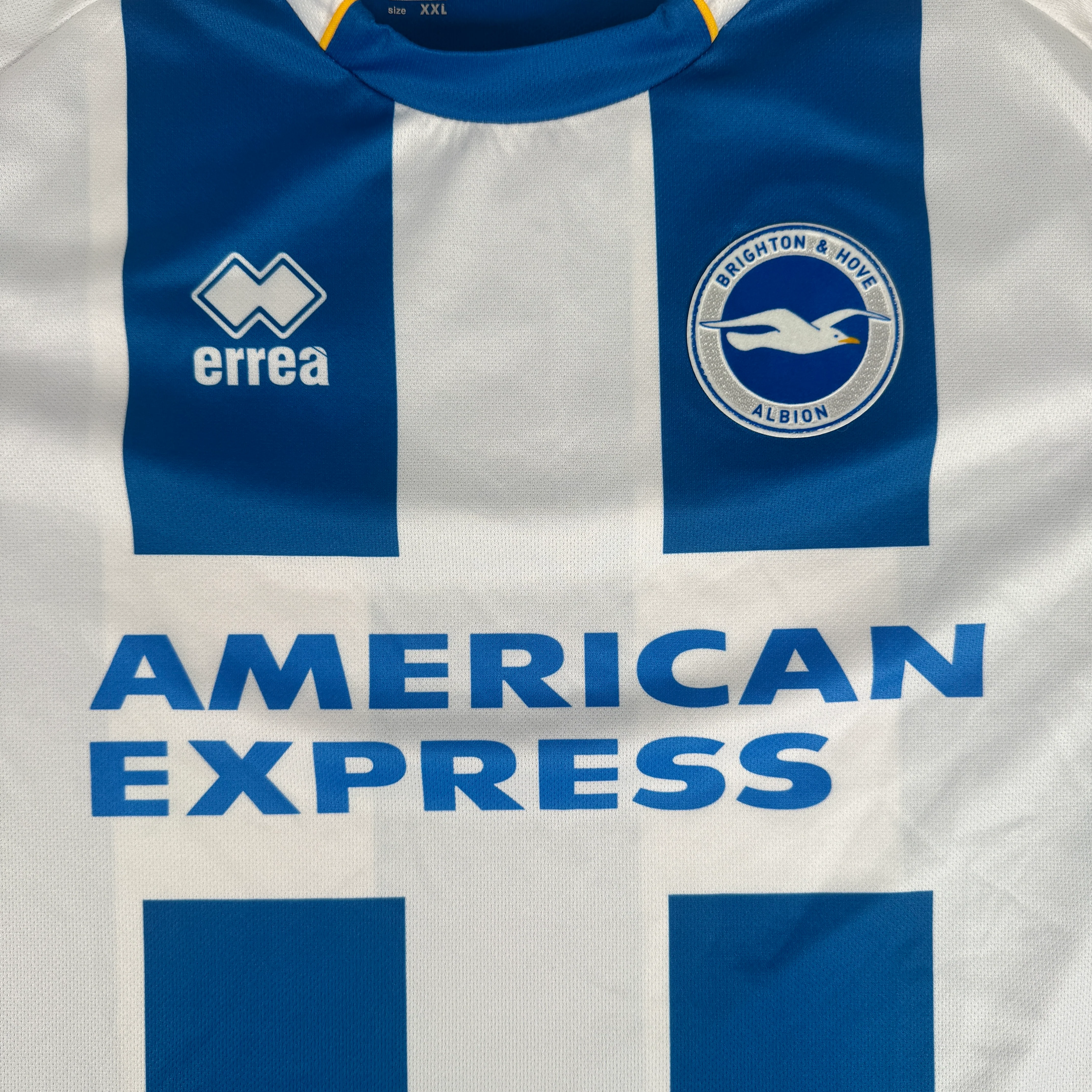 Brighton and Hove Albion 2013-14 Home