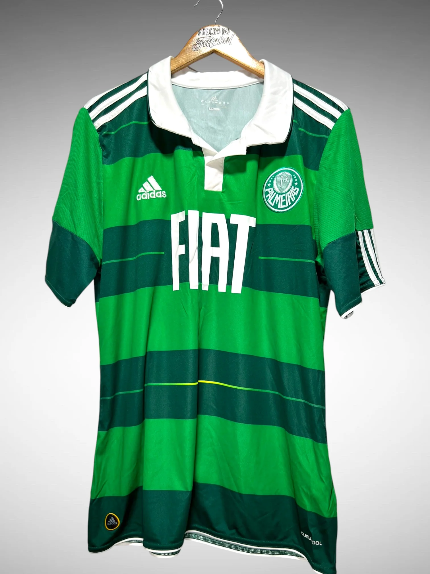 Palmeiras 2010 Third