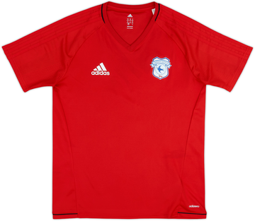 Cardiff City 2017-18 Training