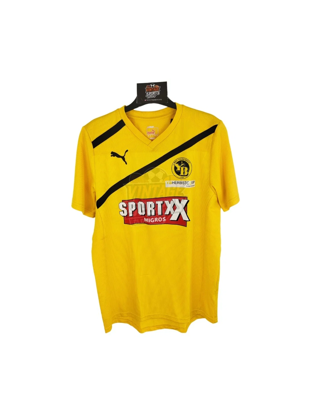 BSC Young Boys 2010-11 Training