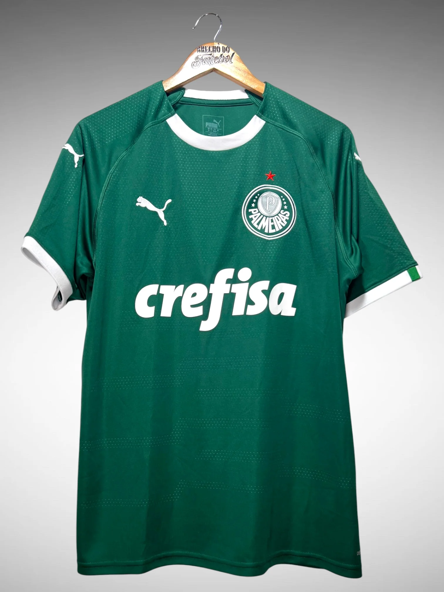 Palmeiras 2019 Home