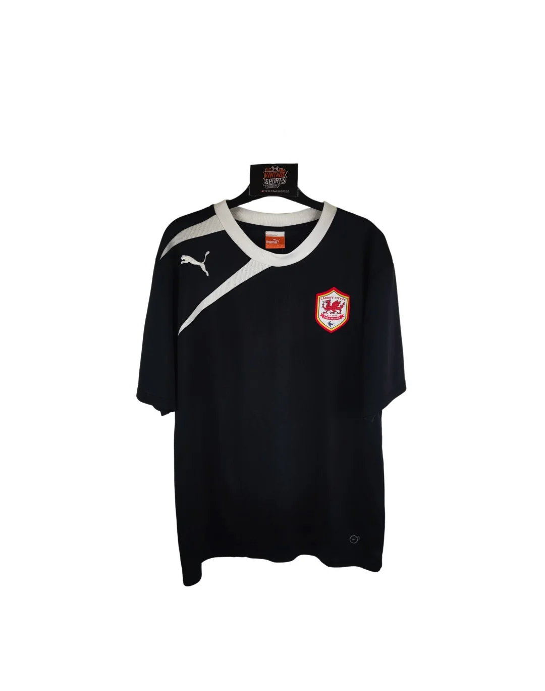 Cardiff City 2011-12 Training