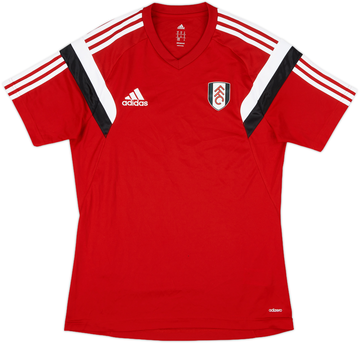 Fulham 2014-15 Training