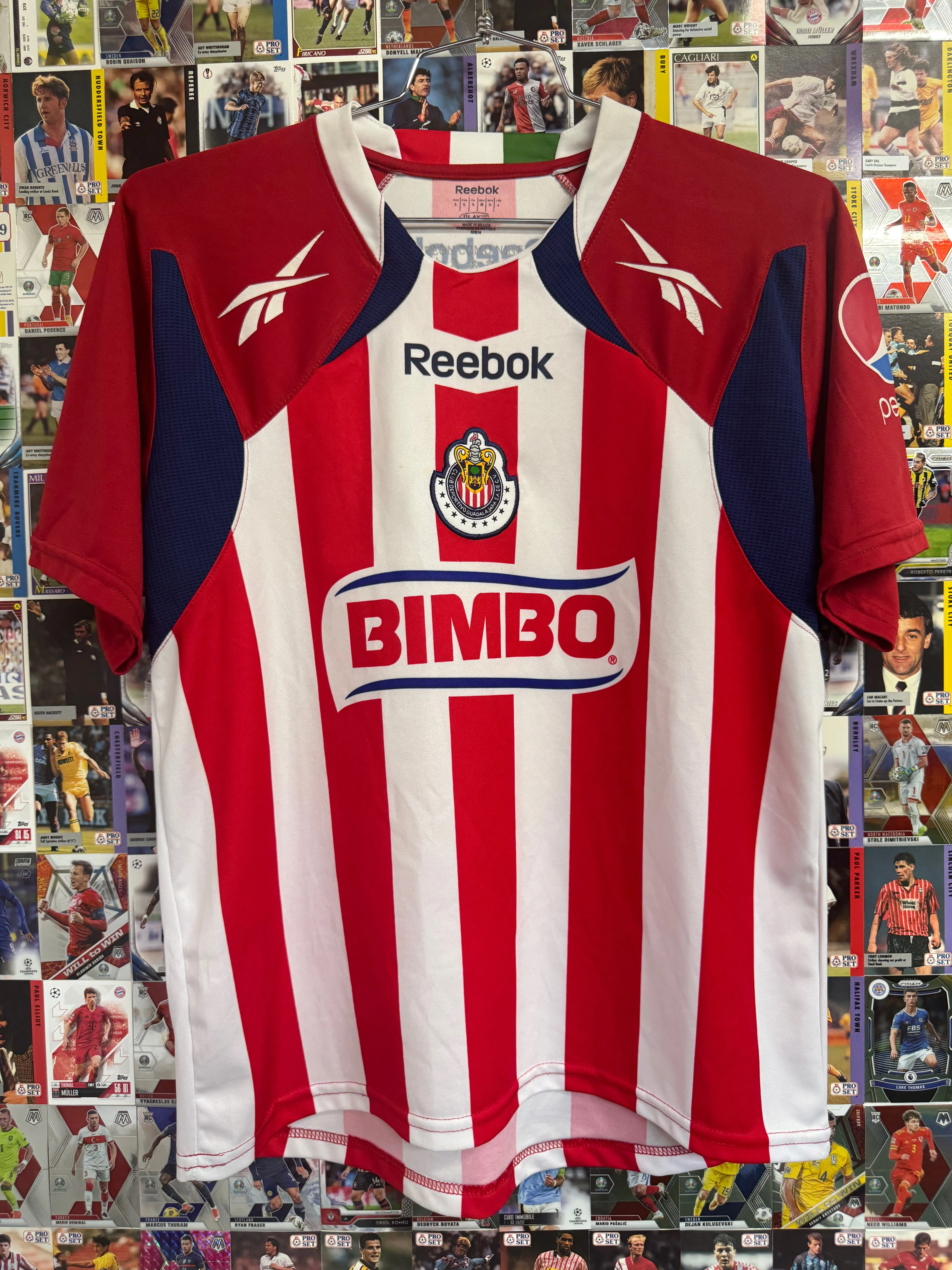 Chivas Guadalajara 2010-11 Home
