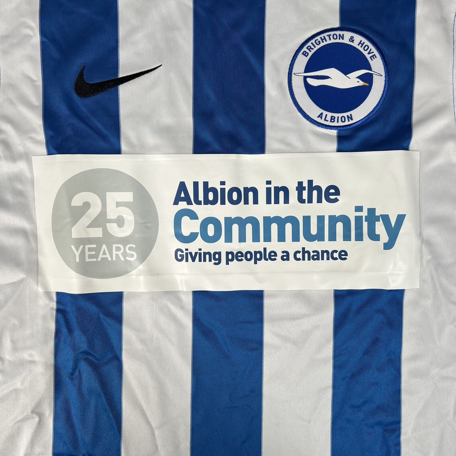 Brighton and Hove Albion 2015-16 Home