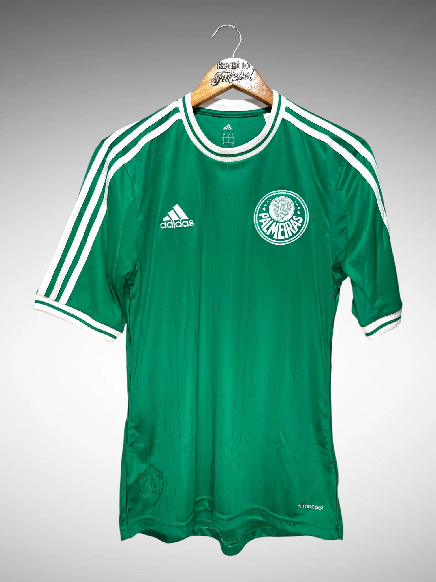 Palmeiras 2013 Home