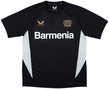 Bayer Leverkusen 2024-25 Training