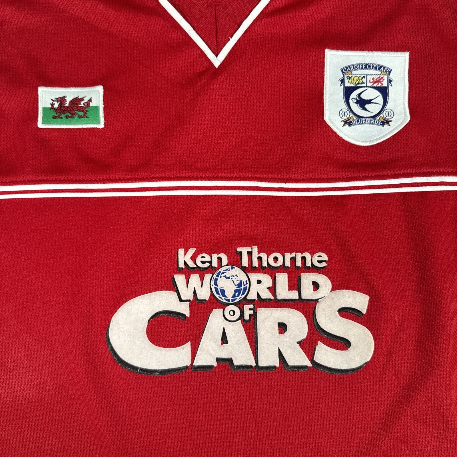 Cardiff City 2001-02 Away