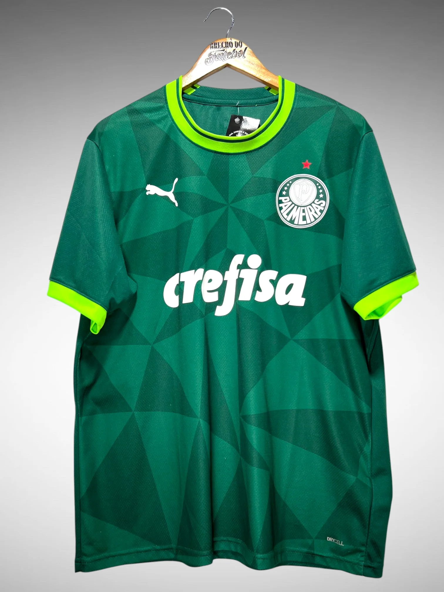 Palmeiras 2023 Home