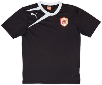 Cardiff City 2013-14 Training