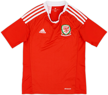 Wales 2016-17 Home