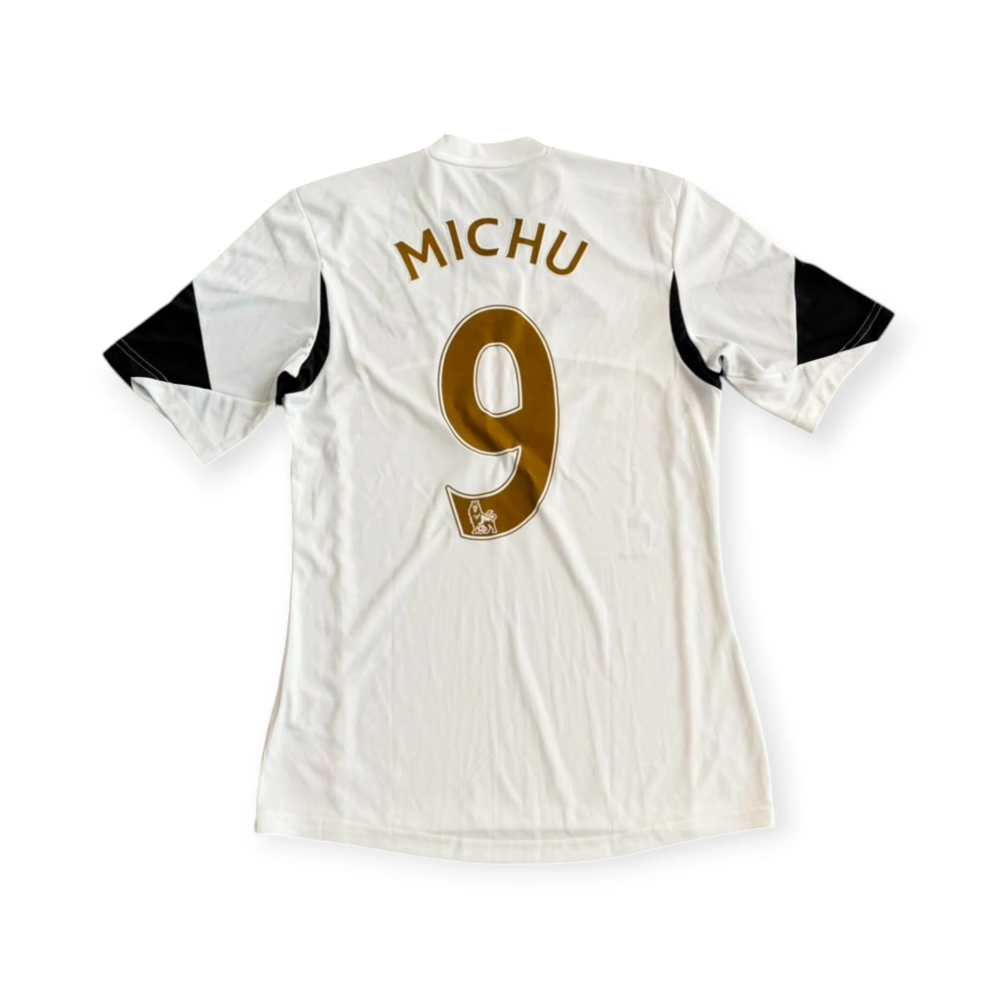 Swansea 2013-14 Home