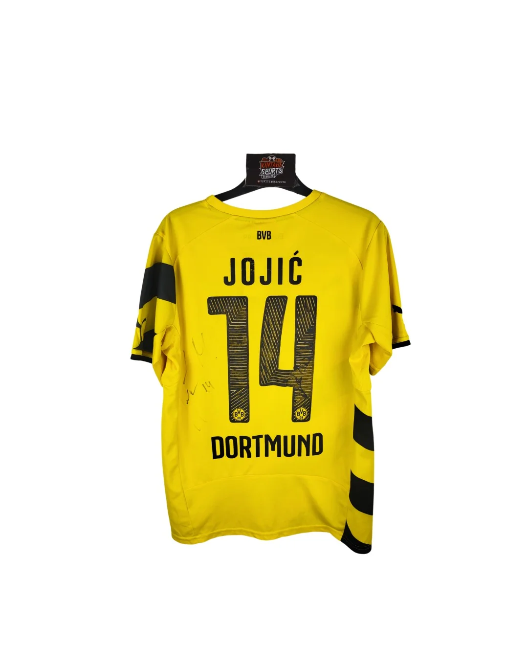 Borussia Dortmund 2014-15 Special