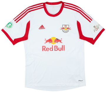 RB Leipzig 2013-14 Home