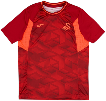 Swansea City 2023-24 Training