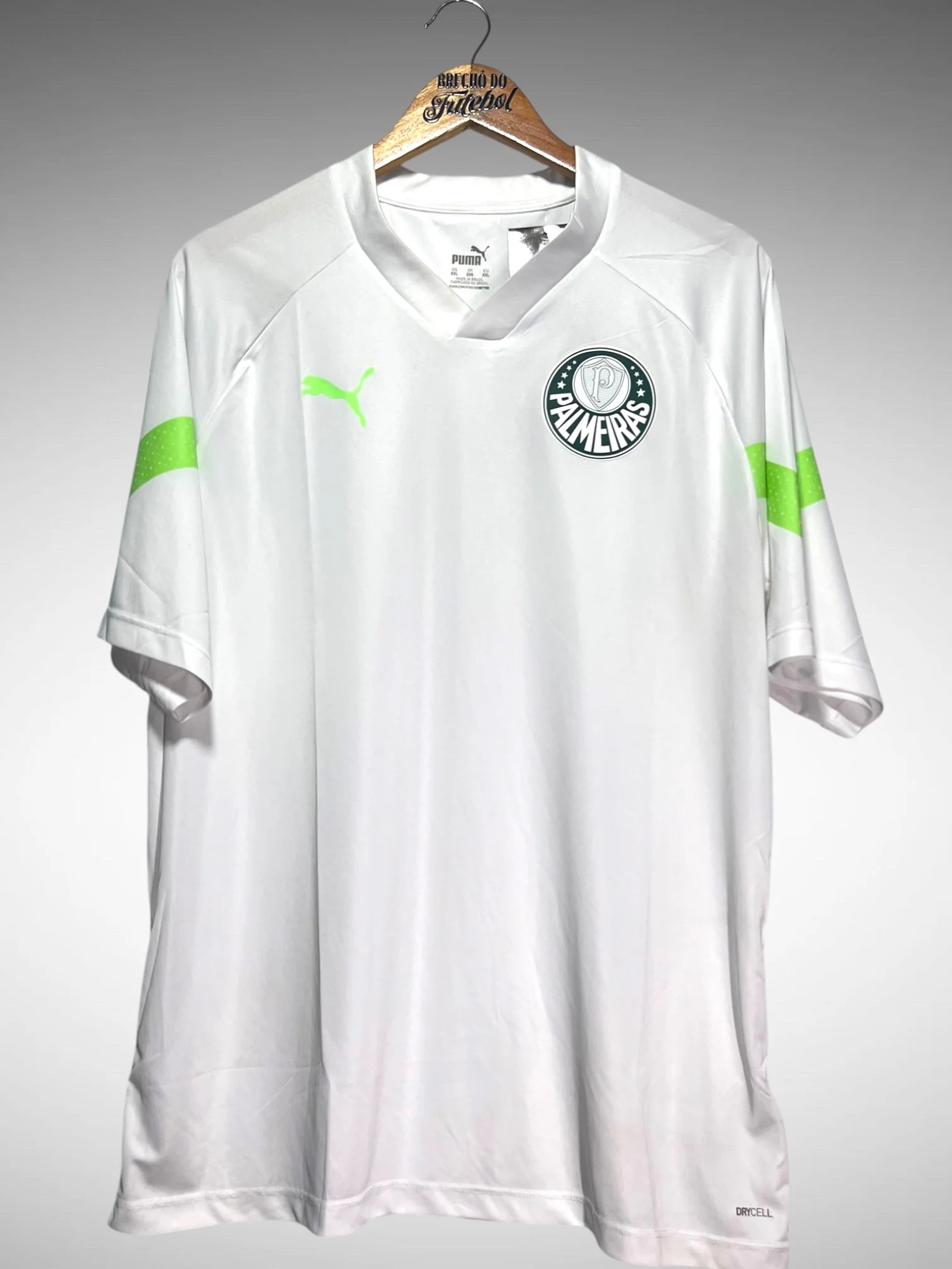 Palmeiras 2023 Training