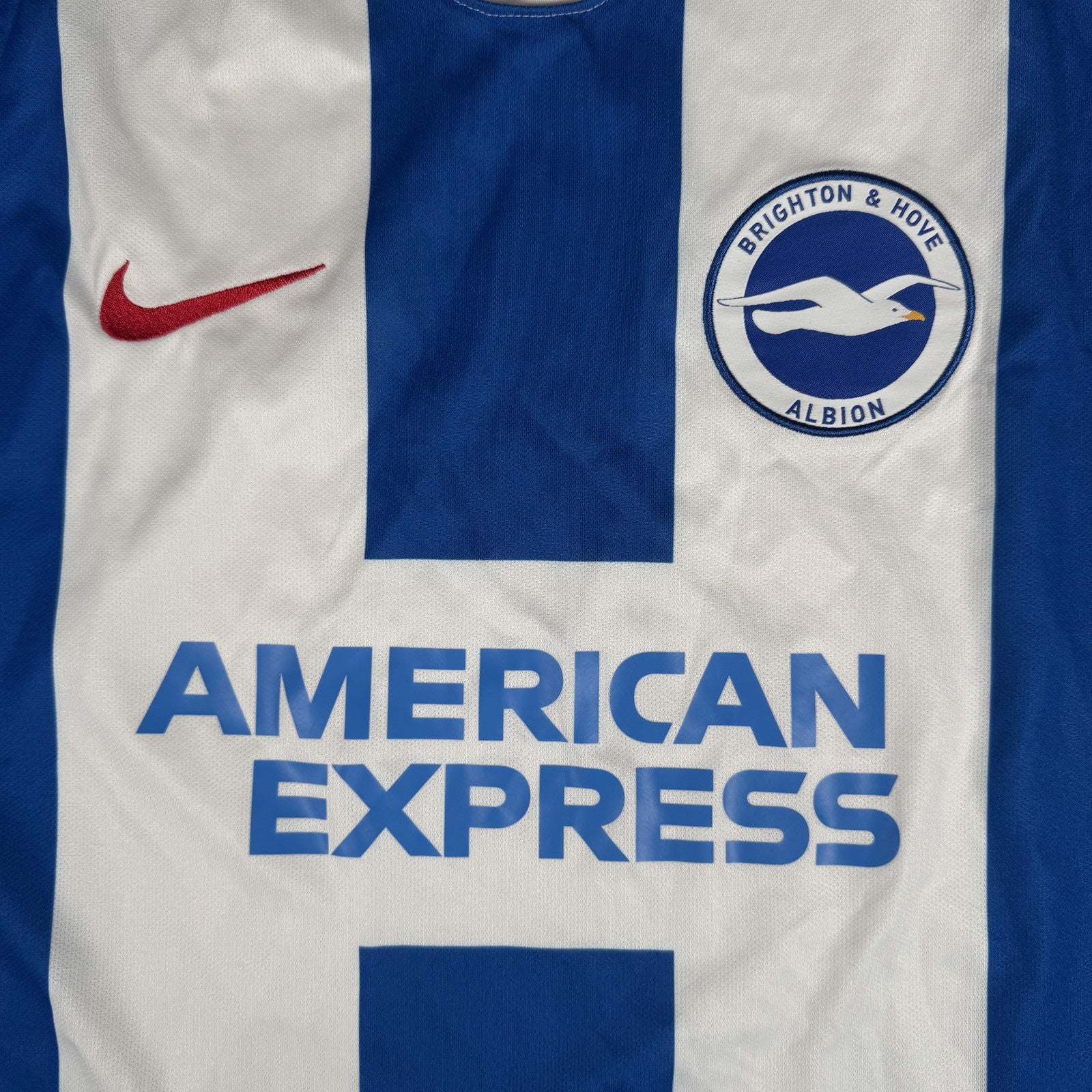 Brighton and Hove Albion 2018-19 Home