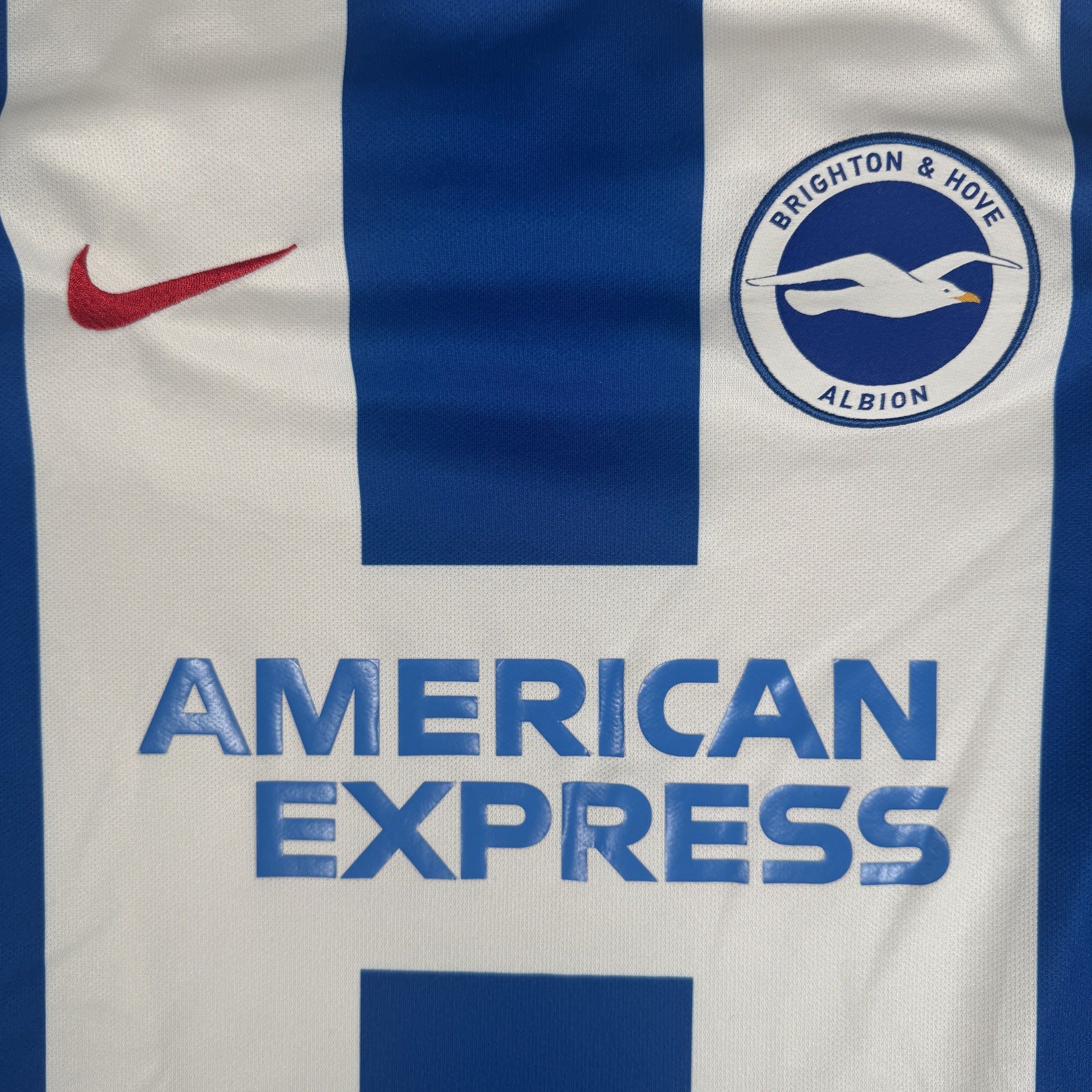 Brighton and Hove Albion 2016-17 Home