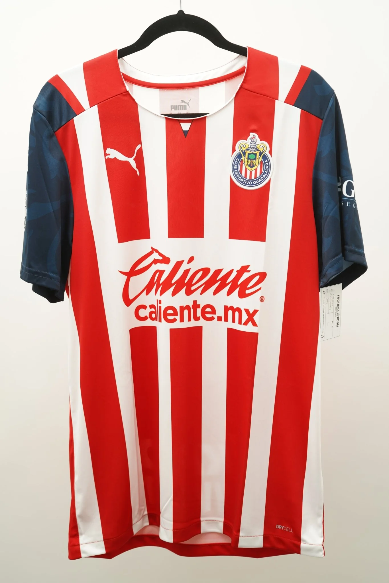 Chivas Guadalajara 2021 Home