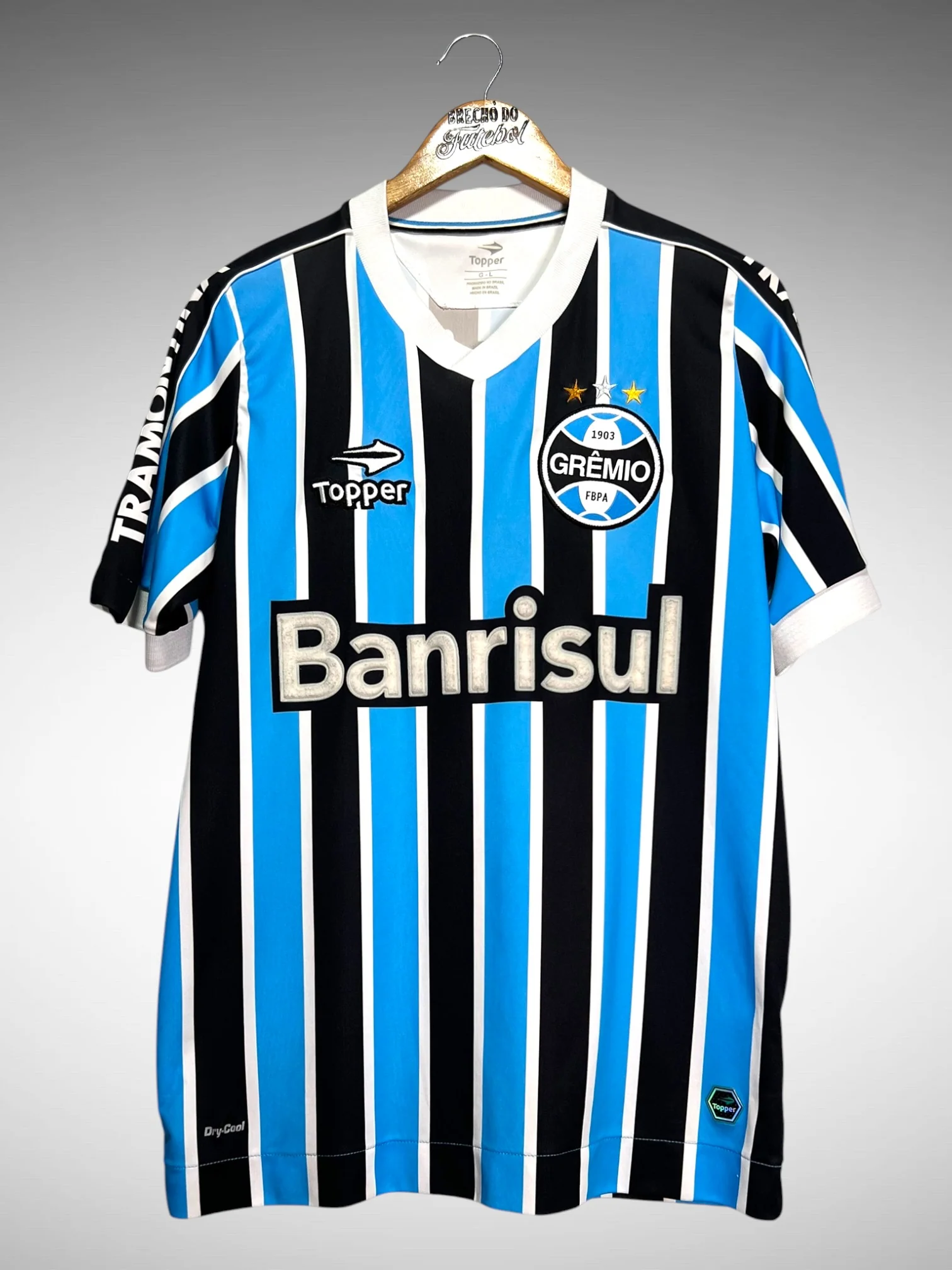 Gremio 2013 Home