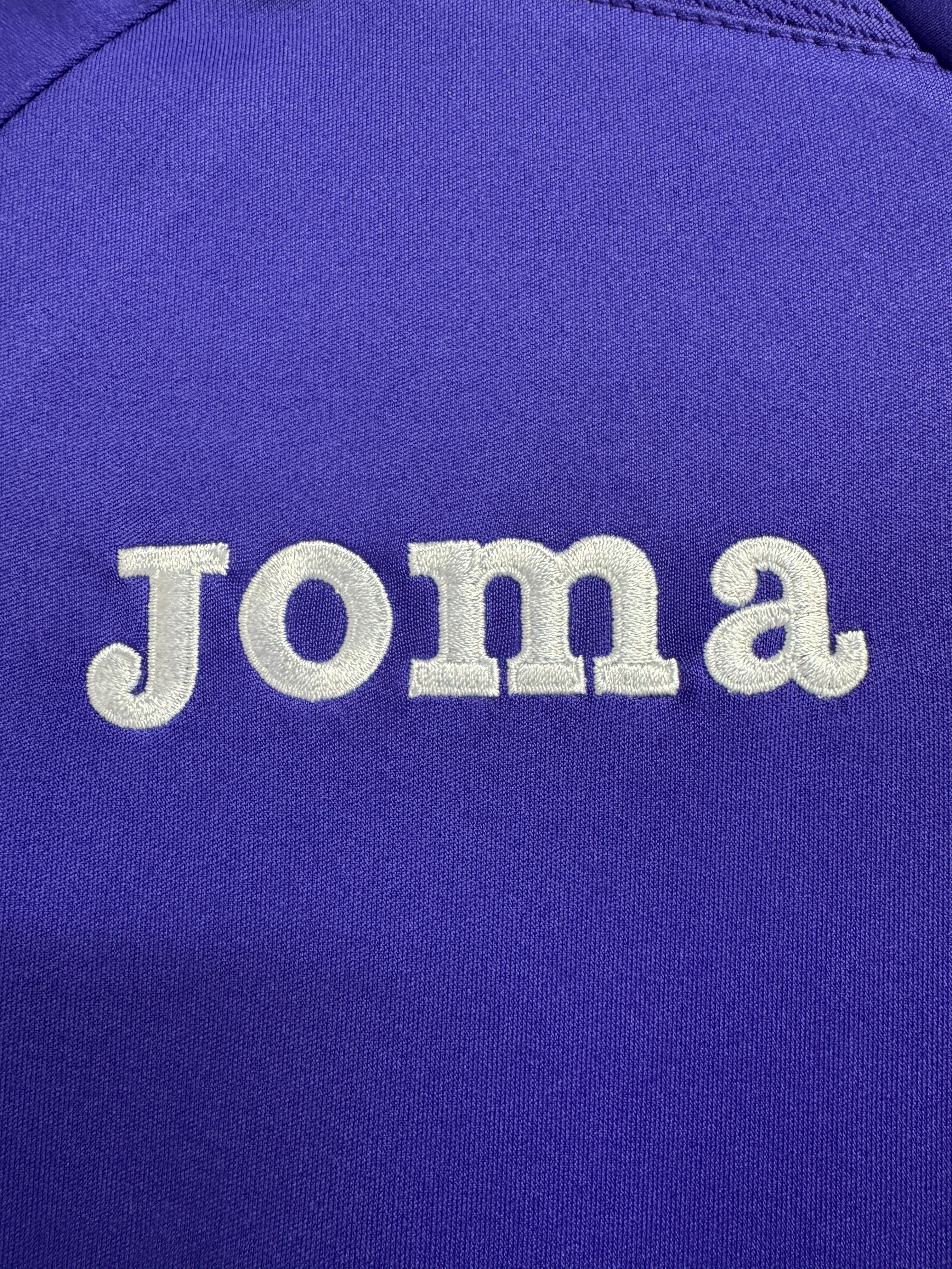Fiorentina 2013-14 Training