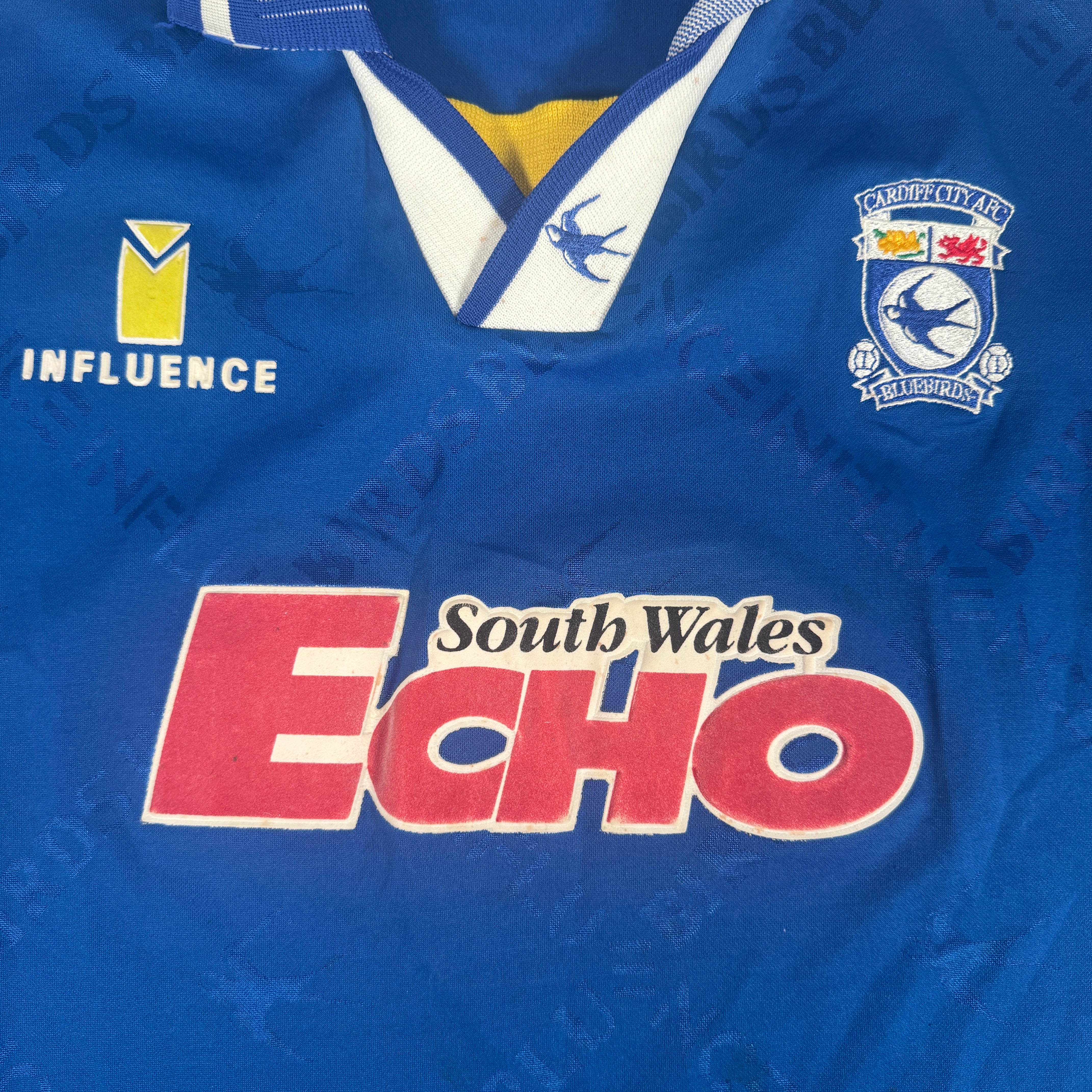 Cardiff City 1995-96 Home