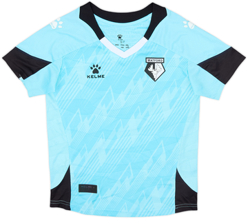 Watford 2023-24 Third