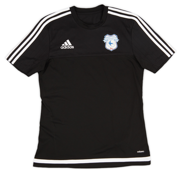 Cardiff City 2016-17 Training
