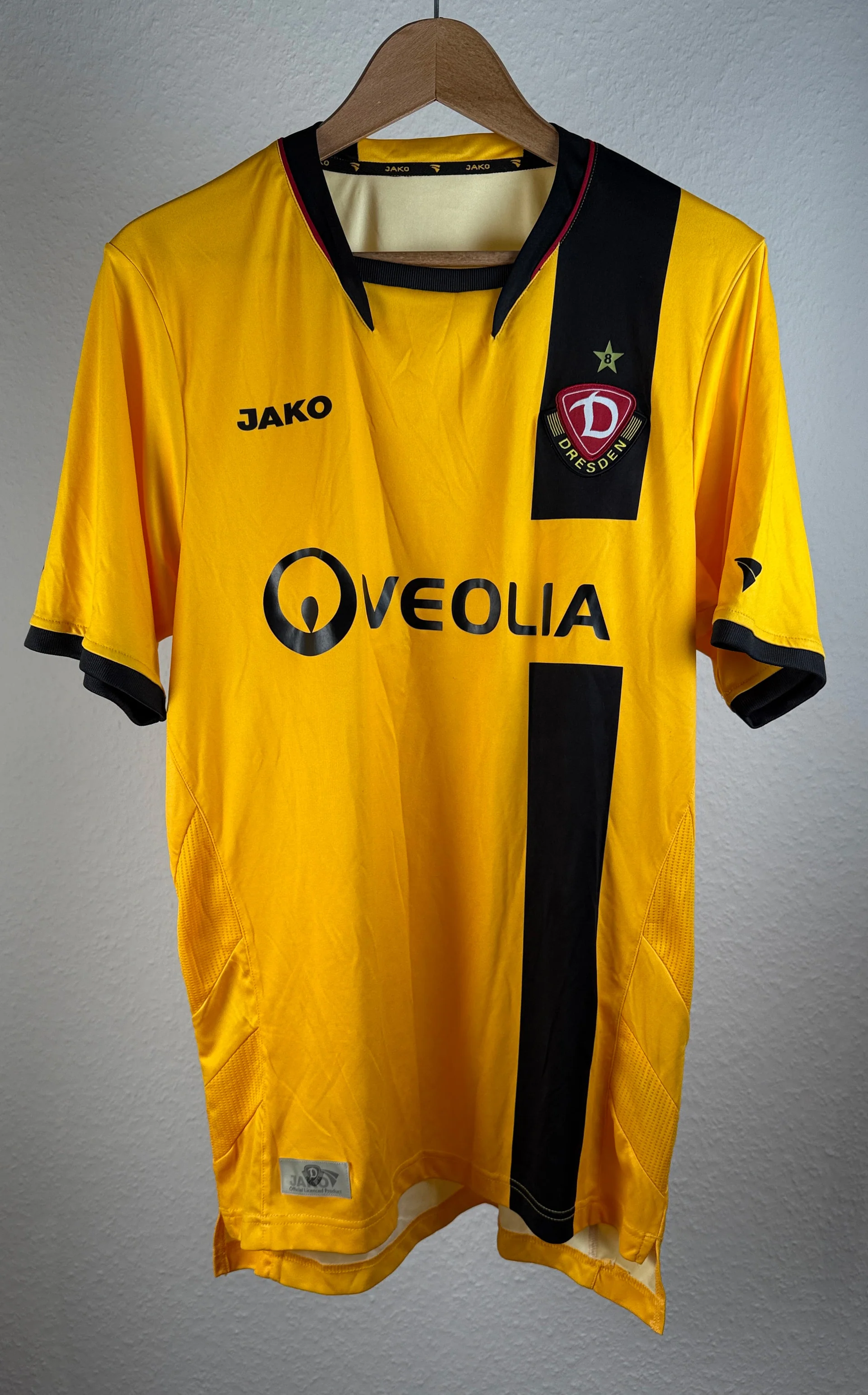 Dynamo Dresden 2008-09 Home