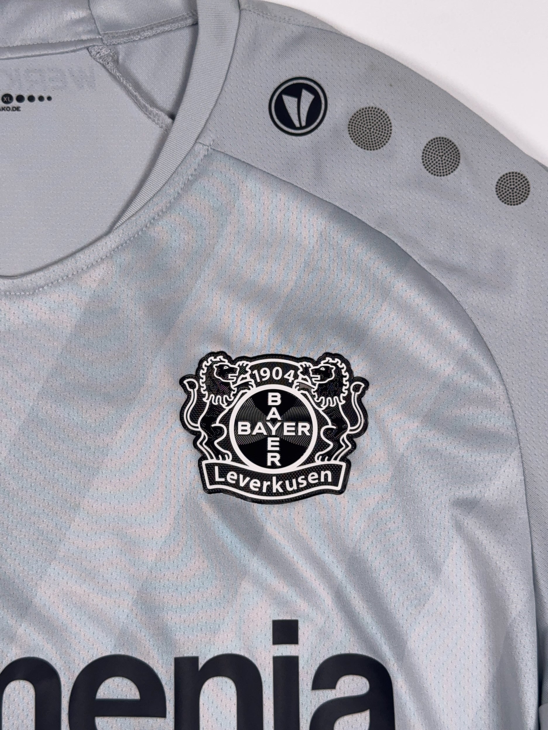 Bayer Leverkusen 2018-19 Third