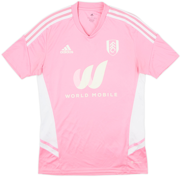 Fulham 2022-23 Training