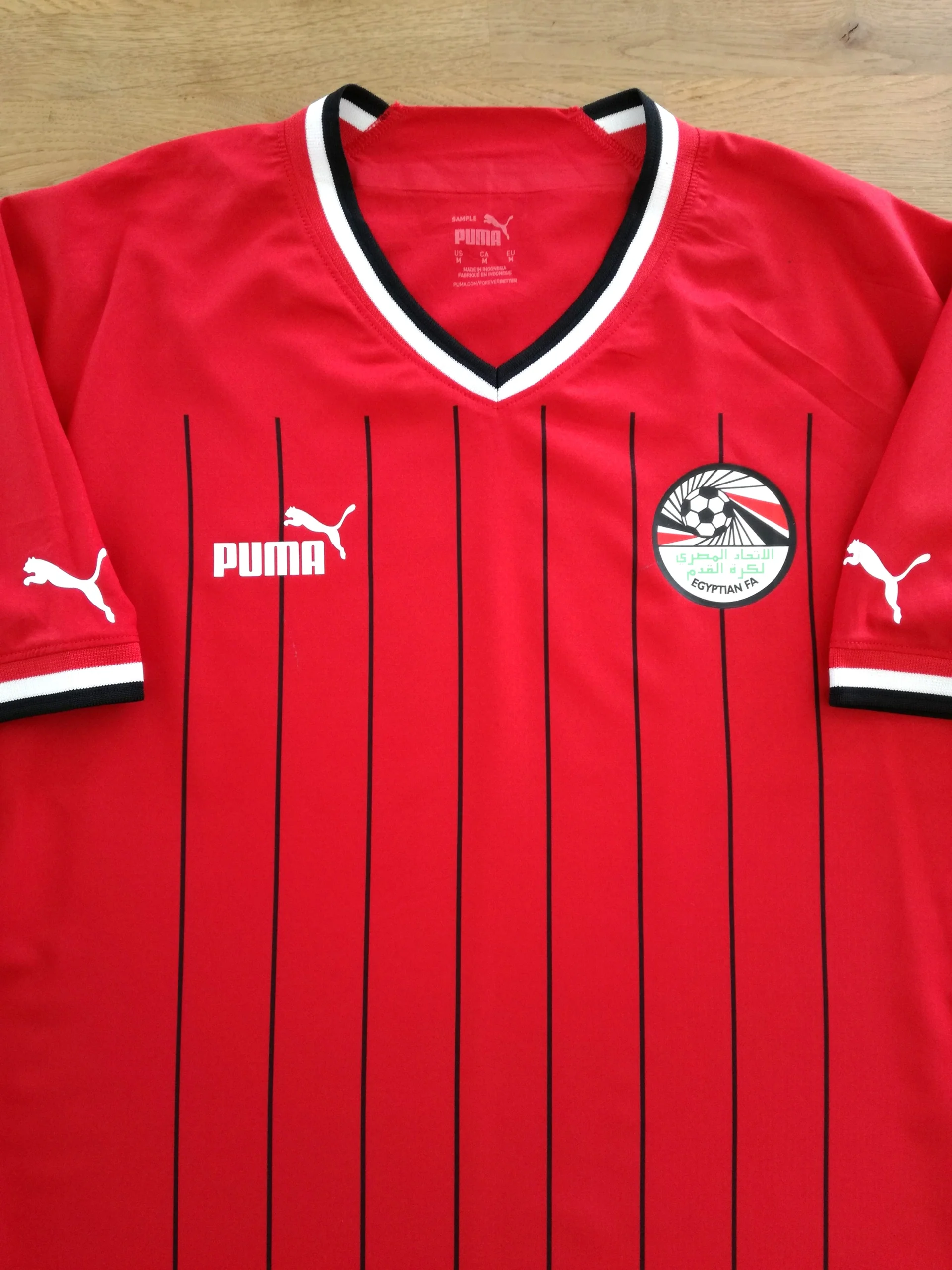 Egypt 2022-23 Home