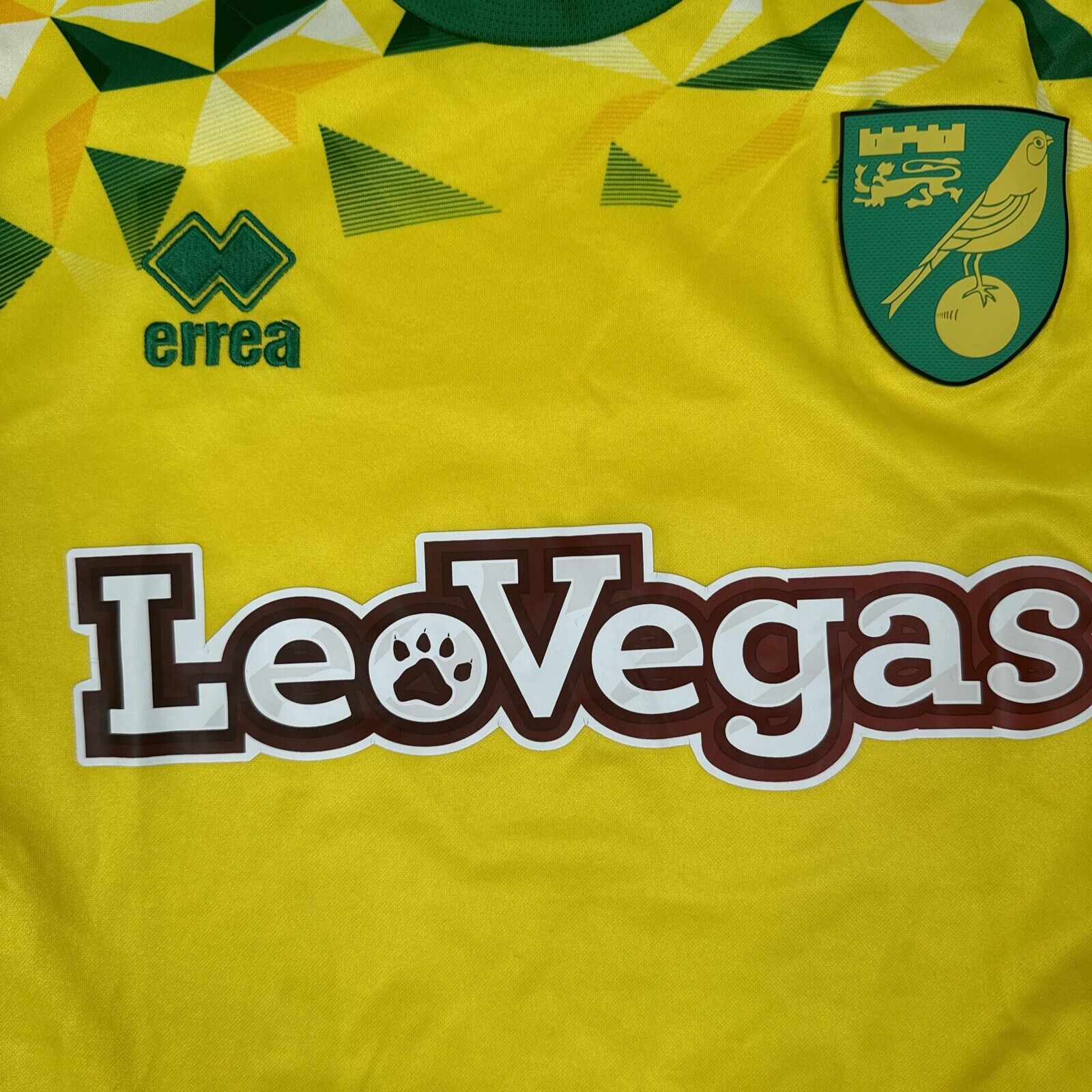 Norwich City 2018-19 Home