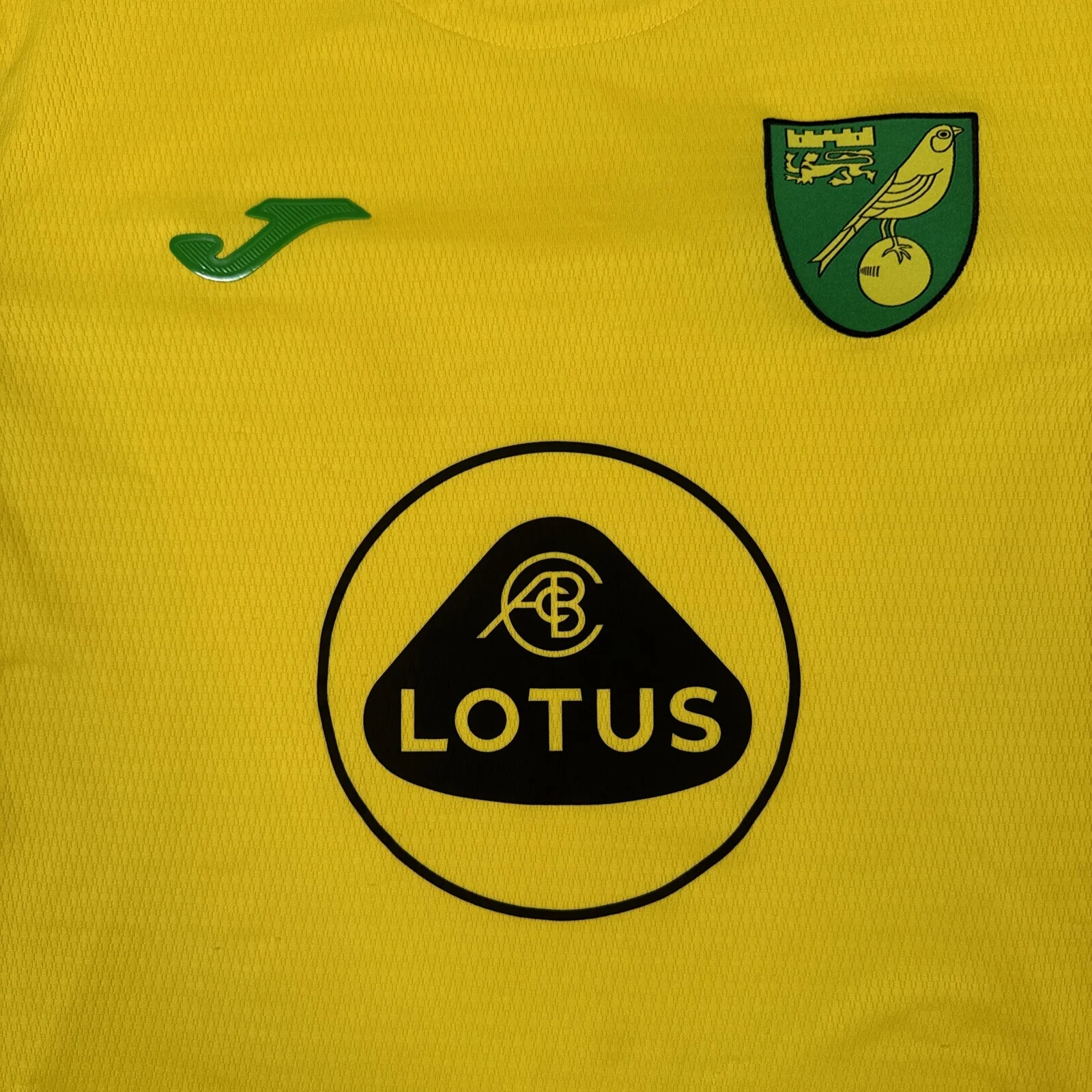 Norwich City 2021-22 Home