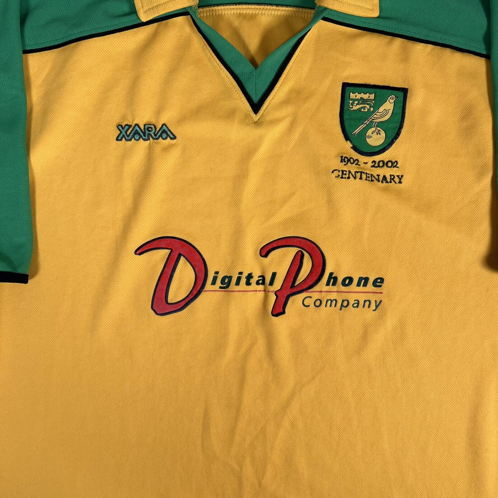 Norwich City 2000-01 Home