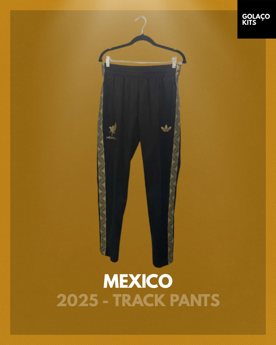 Mexico 2025 Training