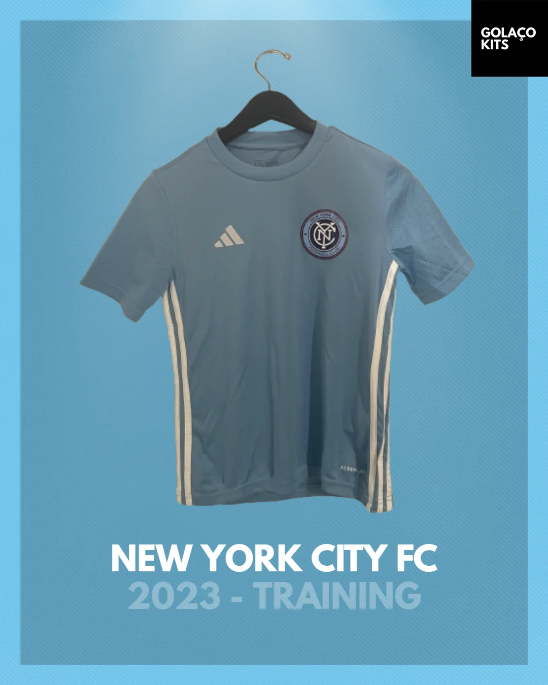 New York City 2023 Training